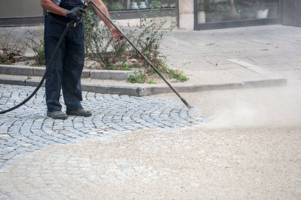 Animal Enclosure Cleaning in Deer Park, TX